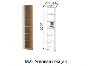 М25 Угловая секция в Надыме - nadym.magazinmebel.ru | фото